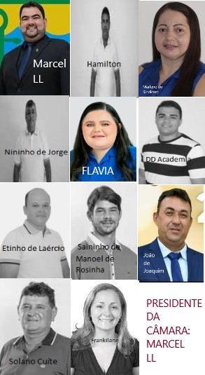 Vereadores da 2&ordf; gest&atilde;o Miguel de Loureiro.